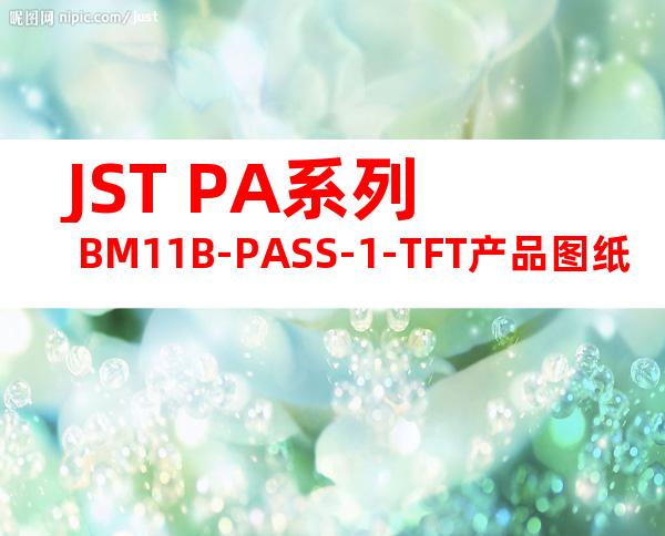 JST PA系列 BM11B-PASS-1-TFT产品图纸